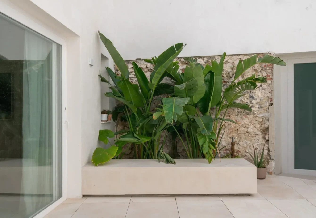 10fa904aaf9d186721abcd724892e50cb180b231_11zon