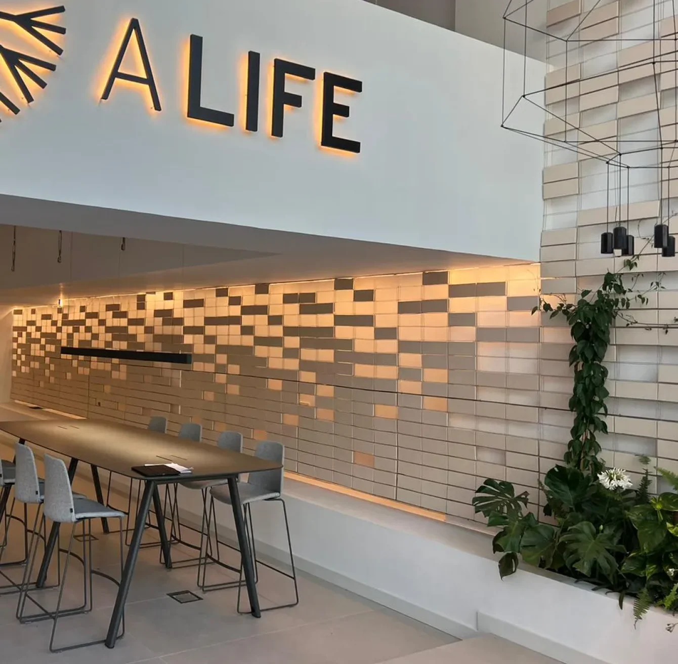 4e28a18e0ea4cd74a32ce35d71c5ccaa8835d51e_11zon