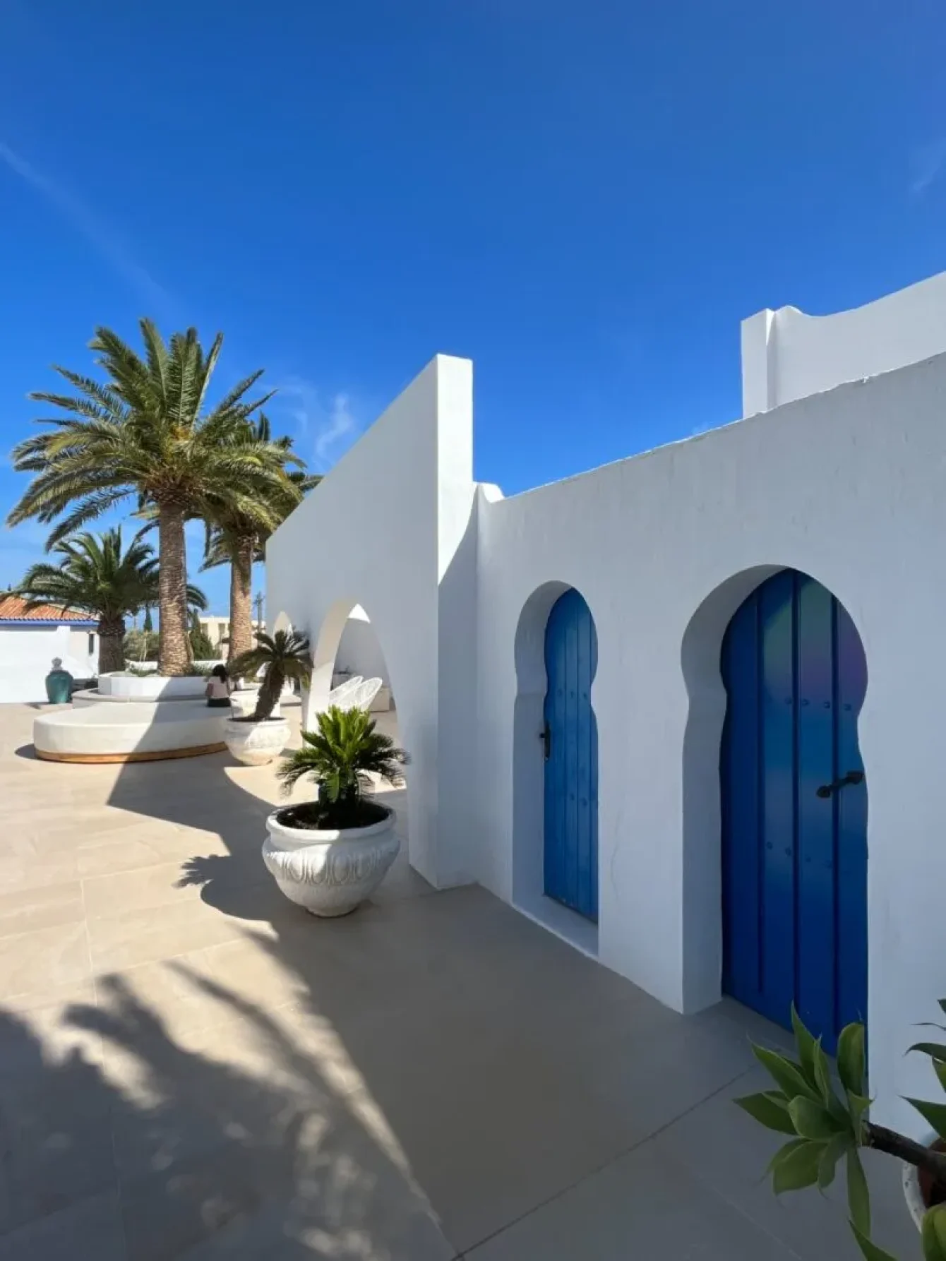 oasis-del-mar8_11zon